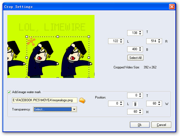 Edit Flash During SWF to Video Conversion