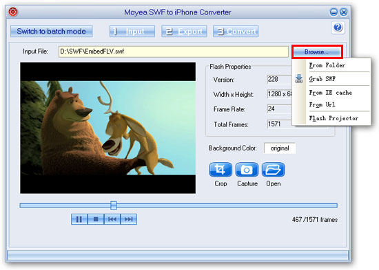 input files - flash to iphone converter