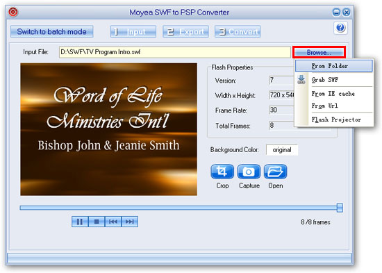 input flash in single mode - flash to psp converter