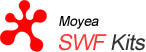 swf converter - swf to video