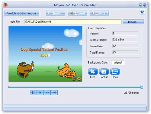 Screenshot of swf to psp video converter importing swf file