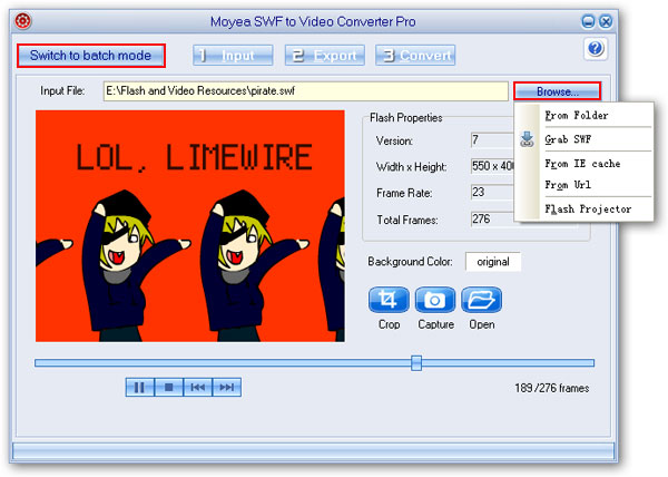 Convert SWF to MP4 With Advanced Functions